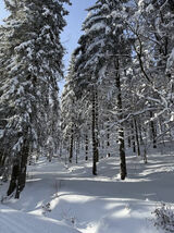 Фотография пользователя Iza75565