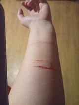 Foto pengguna boguniewiczala92