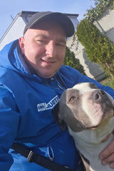 Foto utilizatorului SylwesterKowalsk36