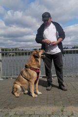 Foto utilizatorului Tomekxnl