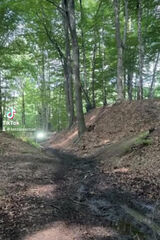 Фотография пользователя Mrlazzan