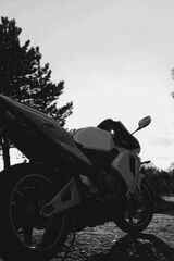 Fotka uživatele KamilSakowski5