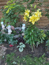 Photos irminapaszkowska63