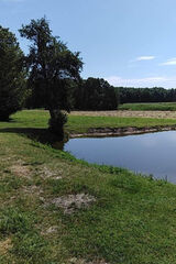 Фотография пользователя Maaniek420