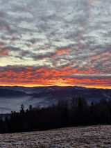 Фото користувача XxXCaffXxX