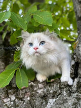 Photos KamilSakowski5