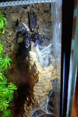 Фотография пользователя projektwidmo