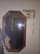 Fotos hubertstanisz739