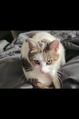 Fotos MichalOrzech2005