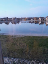 Фотография пользователя dajdane911994