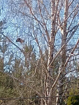 Fotka uživatele wmariusz125