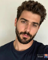 Fotos januszkowalskibus