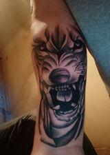 Zdjęcie użytkownika sadowapl