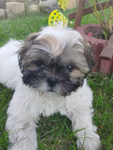 Fotos lukaszkrzyzanski