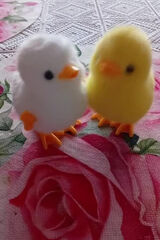 Zdjęcie użytkownika Tom1205