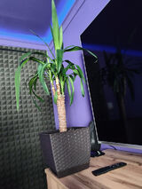 Фото користувача dominikfarion