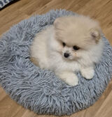 Zdjęcie użytkownika aawe40342006