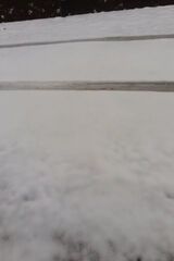 Fotos ziobrowskimateus54