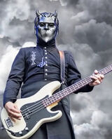 Fotka uživatele MateuszWiesiek