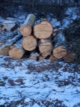 Foto pengguna stankep75