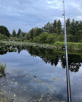 Photos charsmuller41