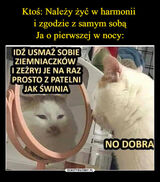 Foto pengguna Marko132