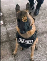 Zdjęcie użytkownika Niewiem5