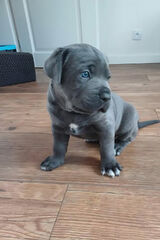 Zdjęcie użytkownika Norbert2107