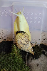 Zdjęcie użytkownika Mati3