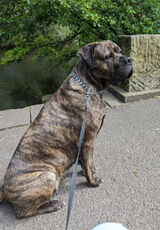 Fotos Zaniabultrowicz