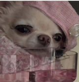 Фотография пользователя HubertDDD