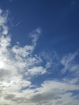 Фотография пользователя jaj220030