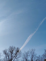 Foto utilizatorului arturswiatynski55