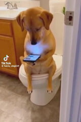 Fotka uživatele januszskutecki6