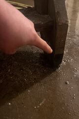 Foto utilizatorului Noiselife699