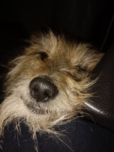 Фото користувача maly205205