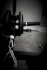 Fotka uživatele LoginuBrak