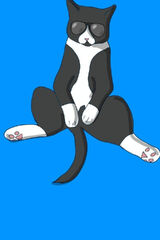 Zdjęcie użytkownika NordSpace