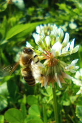 Foto pengguna Tulipan9