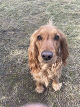 Photos wawrzynieckobus