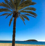 Фото користувача czarneeeee