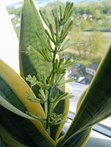 Zdjęcie użytkownika Przemek2177