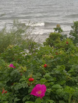 Фото користувача xenia11855