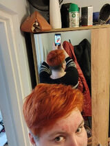 Zdjęcie użytkownika WrzyszczA