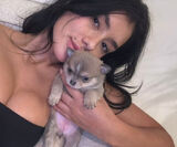 Zdjęcie użytkownika Ania0404