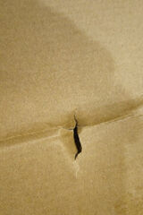 Фото користувача zakladpogrzebowy85