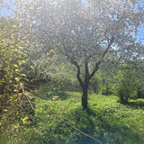 Фотография пользователя saroka0216