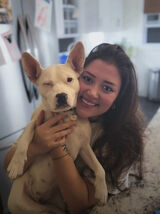 Fotka uživatele priscillaampoh672