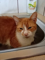 Фото користувача michal55822