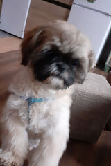 Zdjęcie użytkownika mrozowicz2711